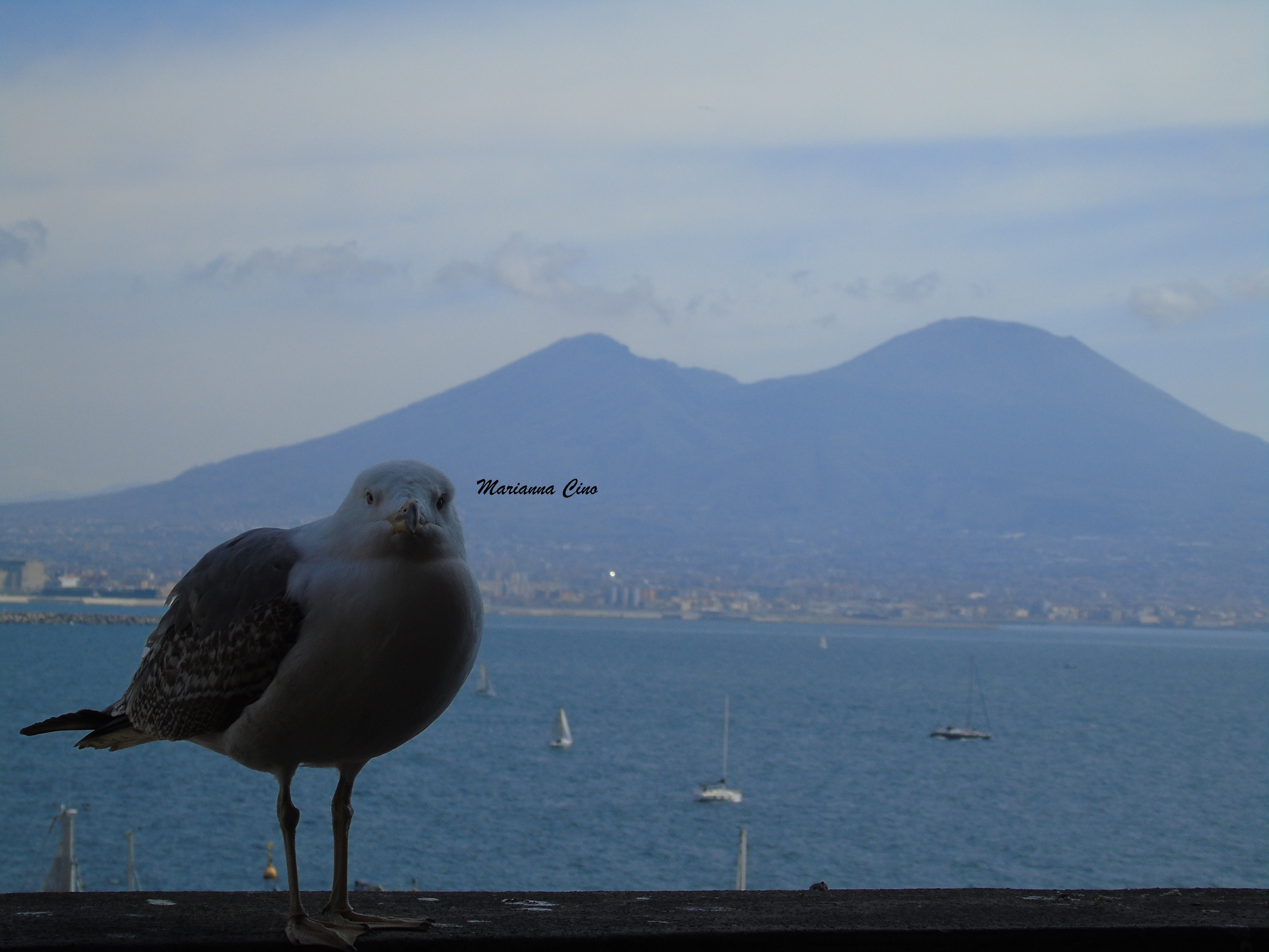 Visita Napoli in 3 giorni
