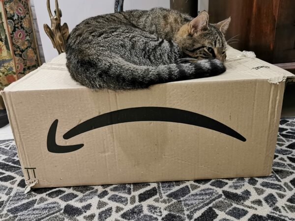 Amazon riceve una multa salatissima